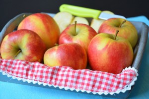 pommes-elstar