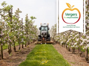 vergers-mane-49-ecoresponsable